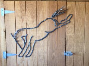 Bucking Horse