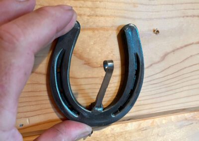 horseshoe and nail hook
