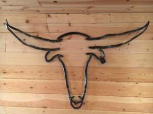 longhorn